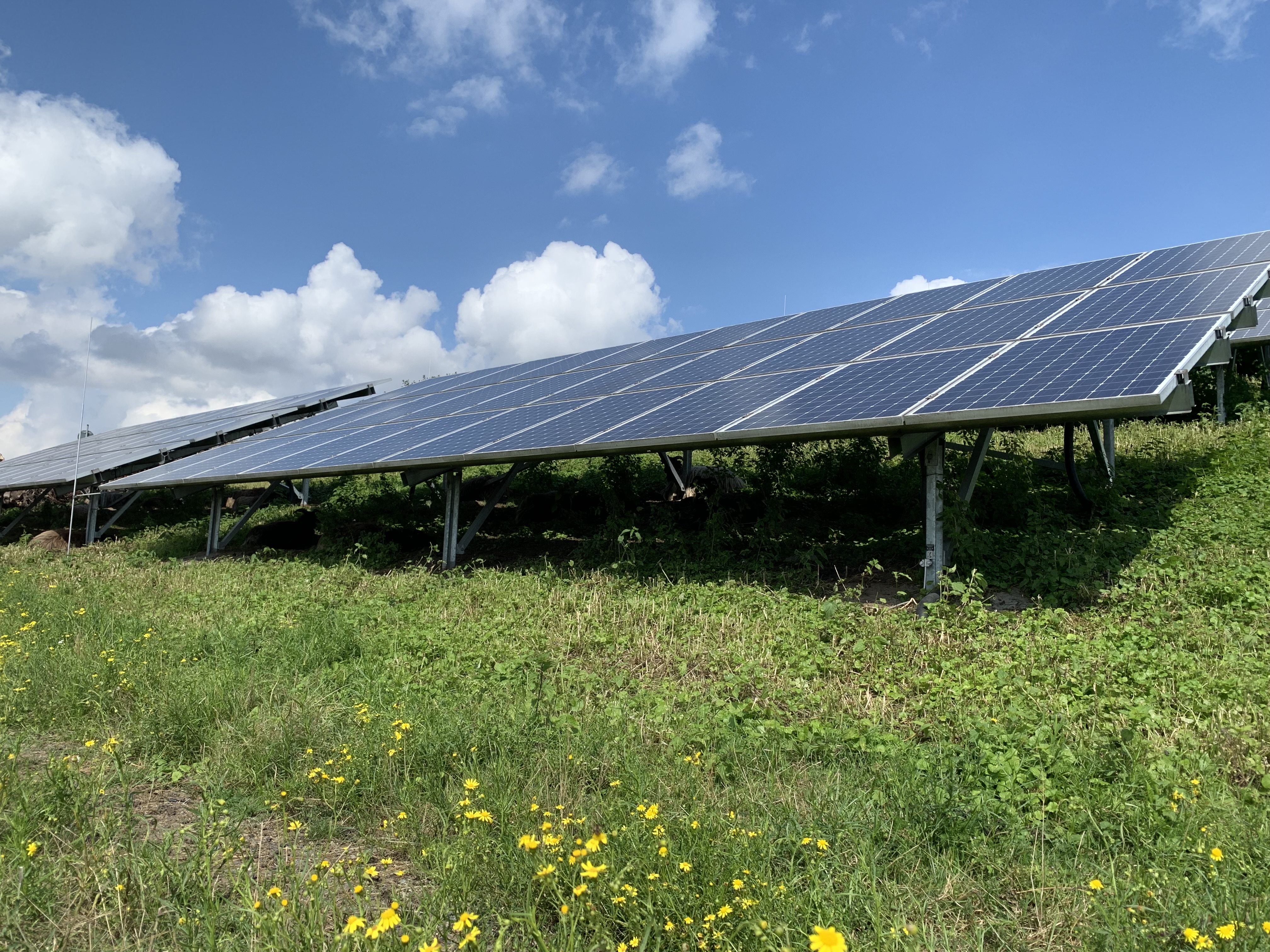 Solaranlage auf der Deponie